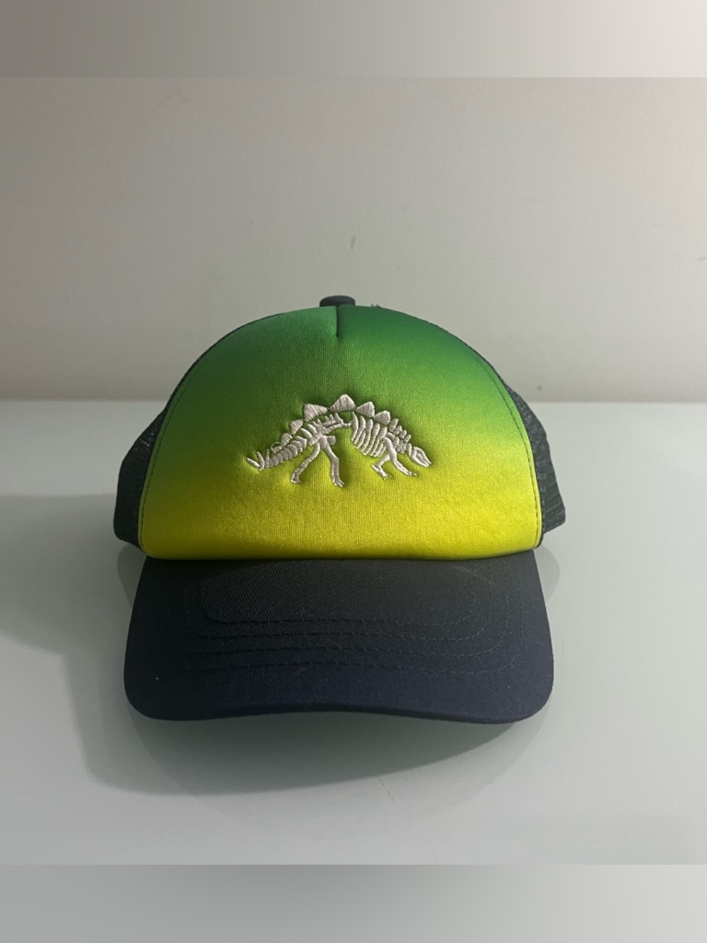Target Little Boys Stegosaurus Skeleton Snapback Cap